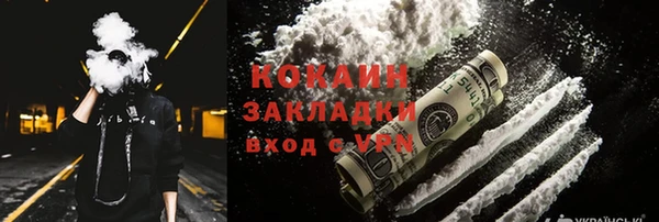 молекула духа Арсеньев