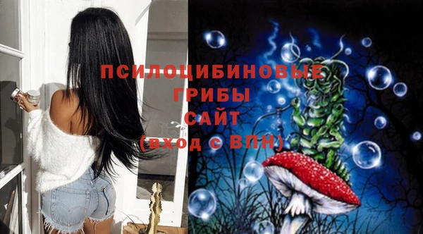 гидропоника Балахна