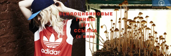 крисы Армянск