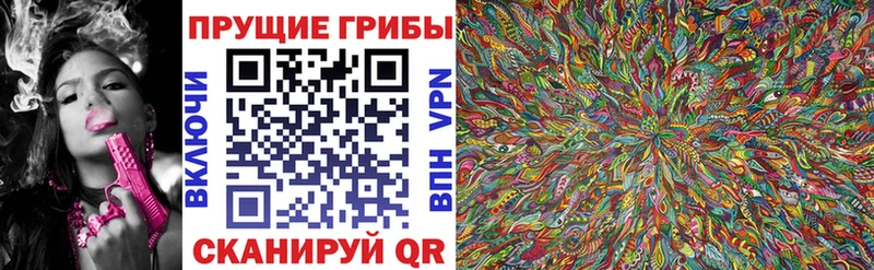 Псилоцибиновые грибы Cubensis  Радужный 