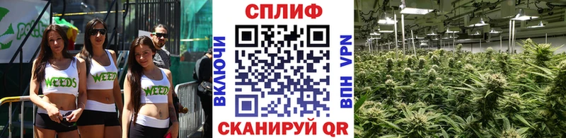 МАРИХУАНА конопля  Радужный 